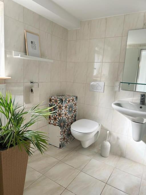 Business Apartment Naehe Bonn Königswinter Exteriör bild