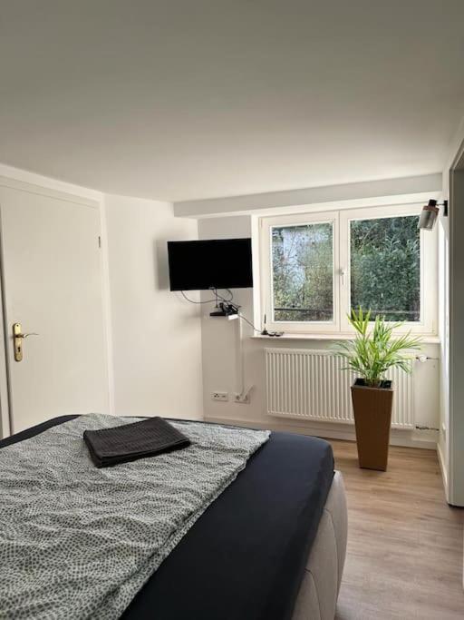 Business Apartment Naehe Bonn Königswinter Exteriör bild
